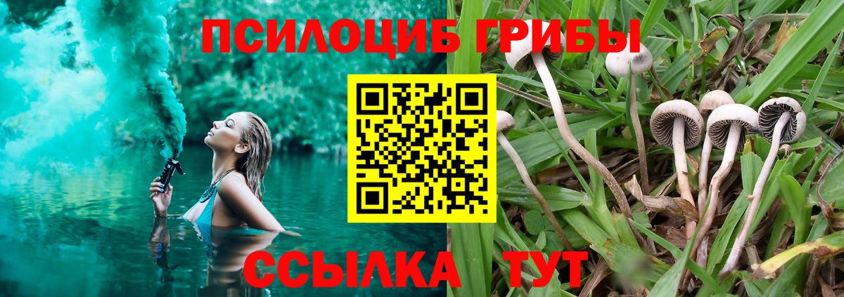 Удомля  Галлюциногенные грибы GOLDEN TEACHER  Вход с VPN 
