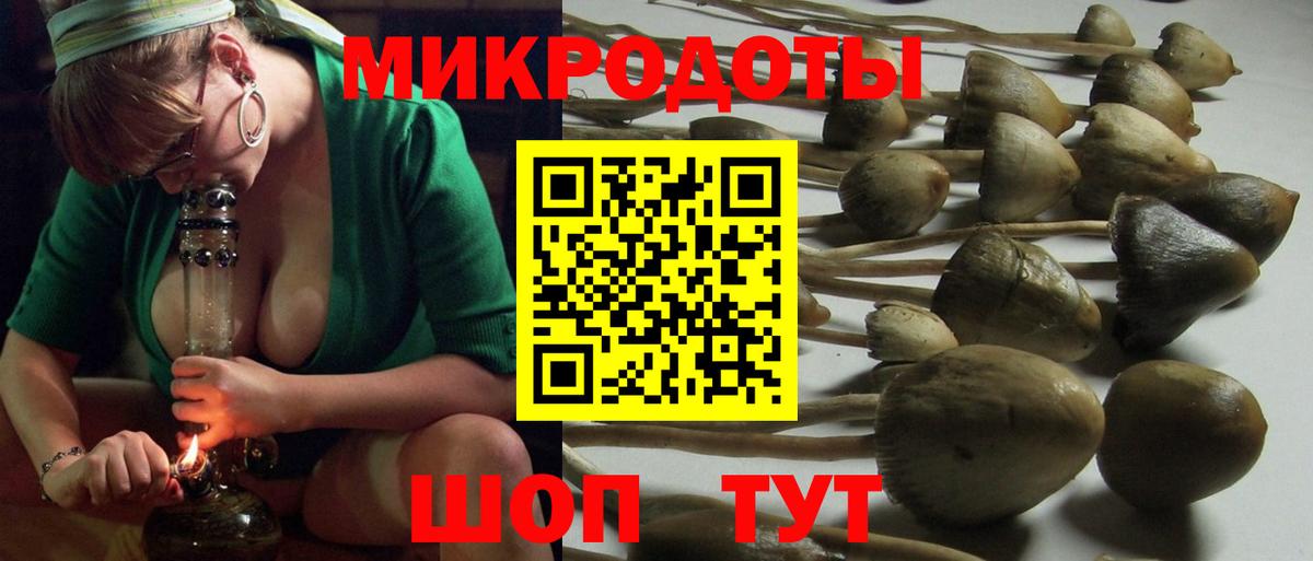 Псилоцибиновые грибы MAGIC MUSHROOMS Удомля